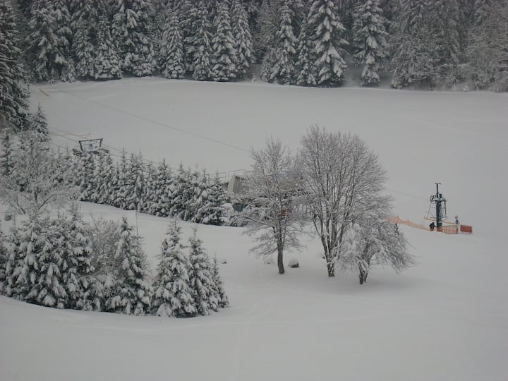 Studio in Glovettes 4 pers in the heart of Vercors