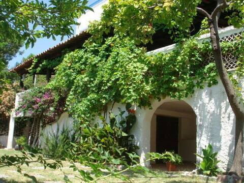 villa Lopez, tropical garden,San Lucido,Calabria