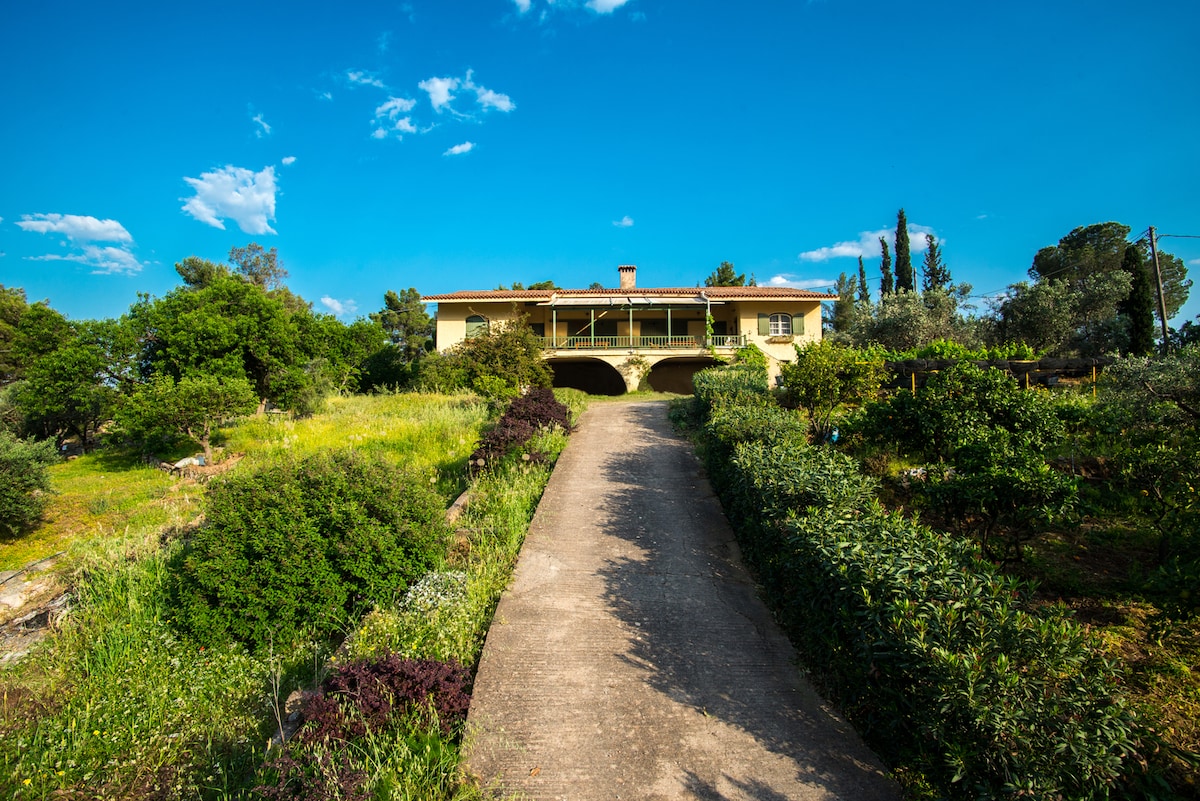 A coastal house is set amidst a lush landscape, featuring a long, paved driveway leading to its entrance. Surrounding greenery and trees create a natural environment, while the building's warm tones complement the clear blue sky.