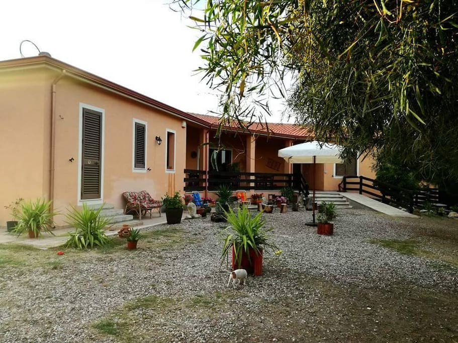 The garden