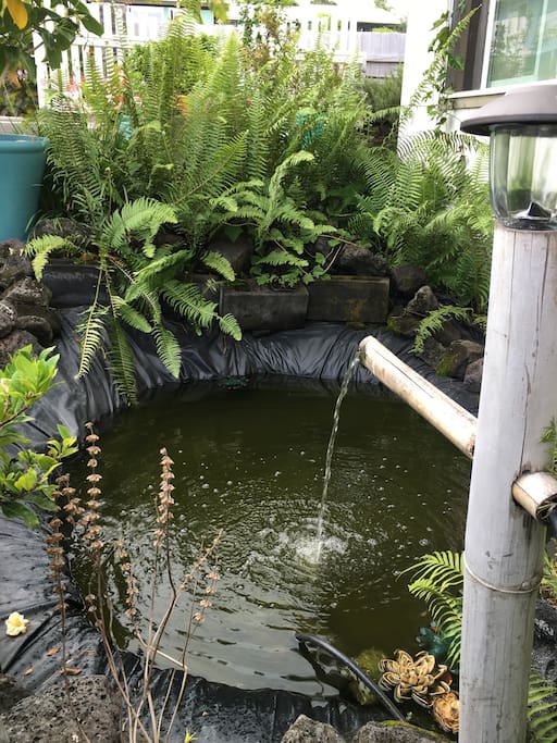 Fish Pond once you walk down driveway. FREE street parking