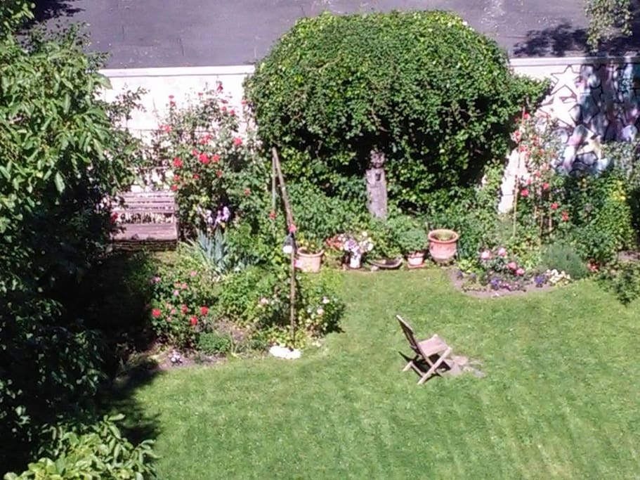 garden