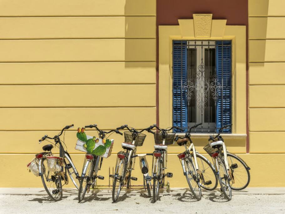 Affitto bici