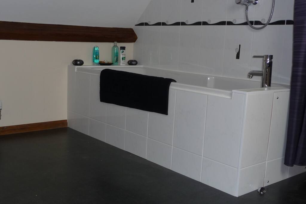 En suite / jack & Jill bathroomJ
