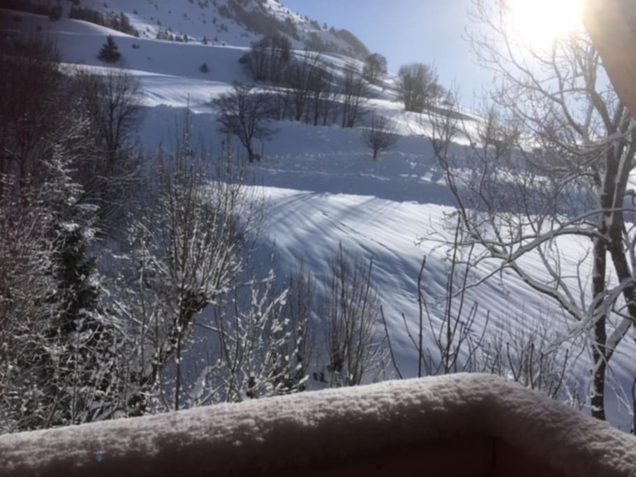 View from sunny balcony