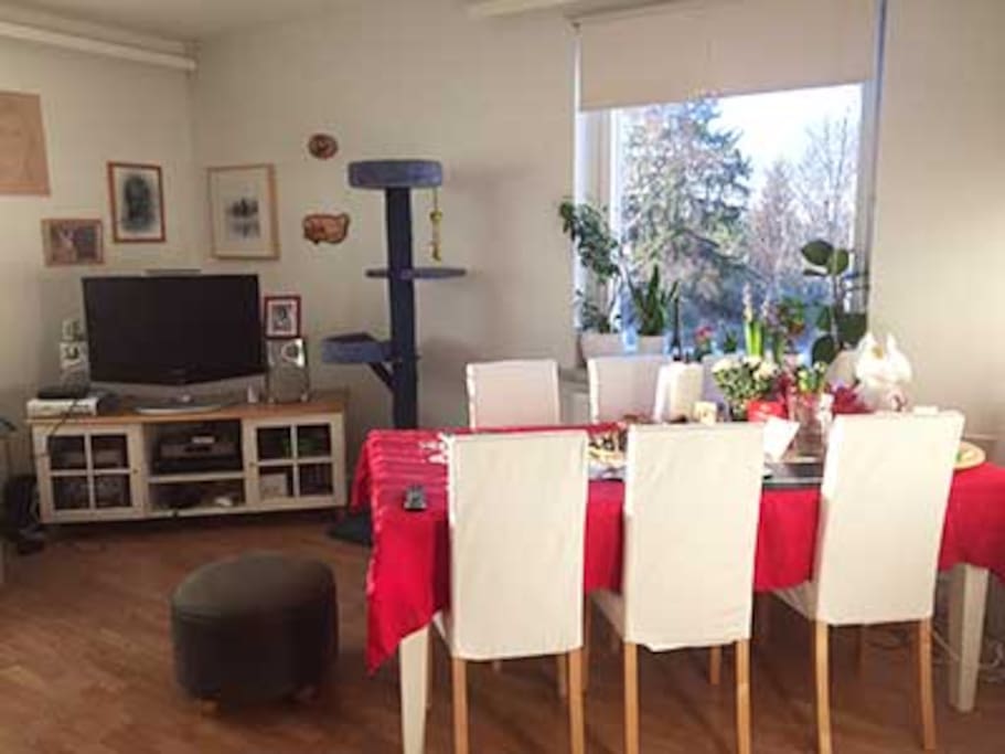 Dinner table in the third corner of livingroom.