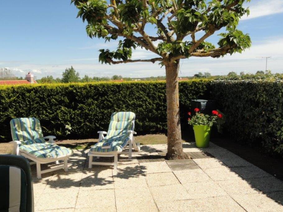 La terrasse orientée SE