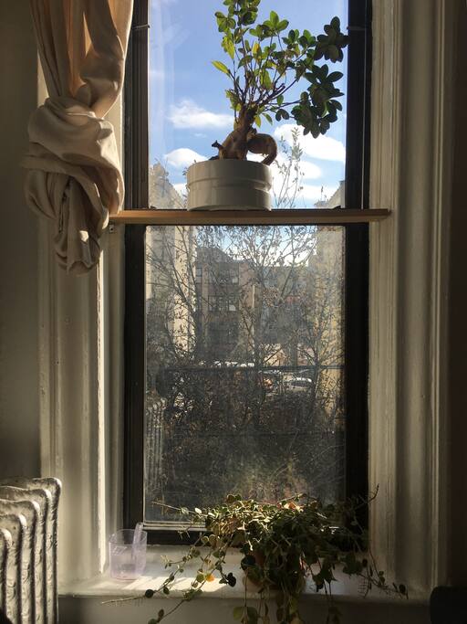 The apartment overlooks an empty garden space in the rear (quiet side) of the building. Very leafy in the summer.