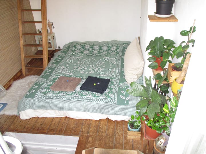 אתם מקבלים צלעות צ'ופה על המגבות. :-) זה חדר השינה שלנו שנמצא למעלה.