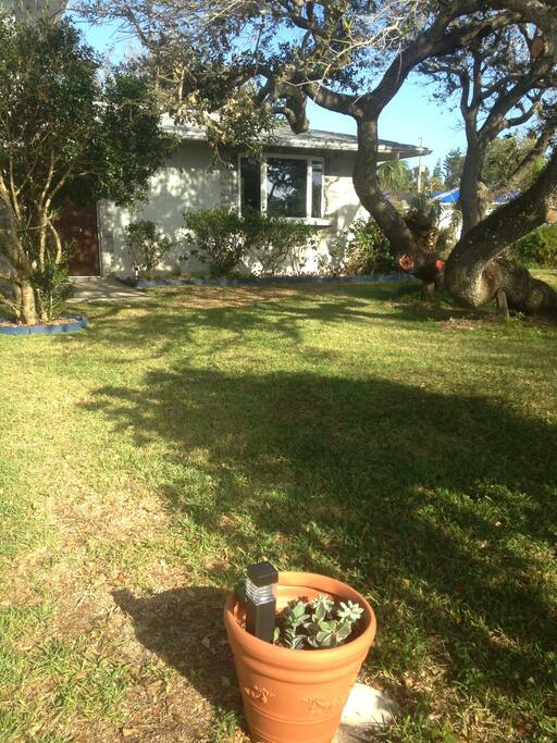 View boats from big bay windows. Large lot room for dogs. Very old trees.