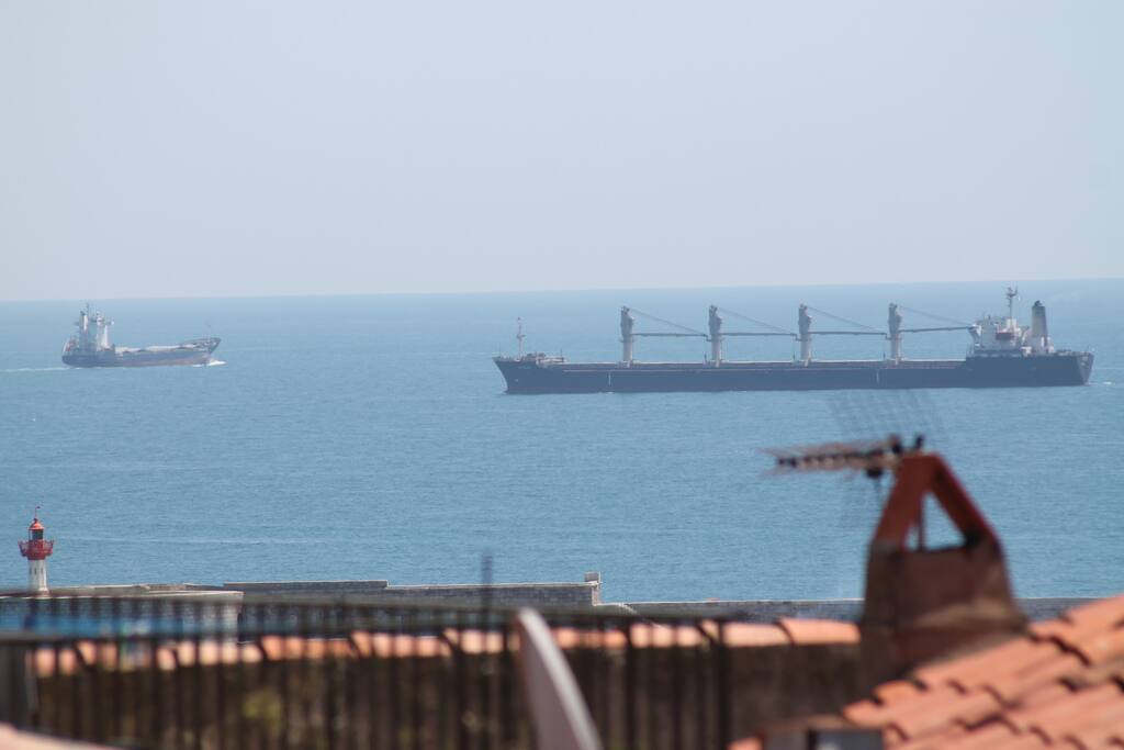 vue de la terrasse