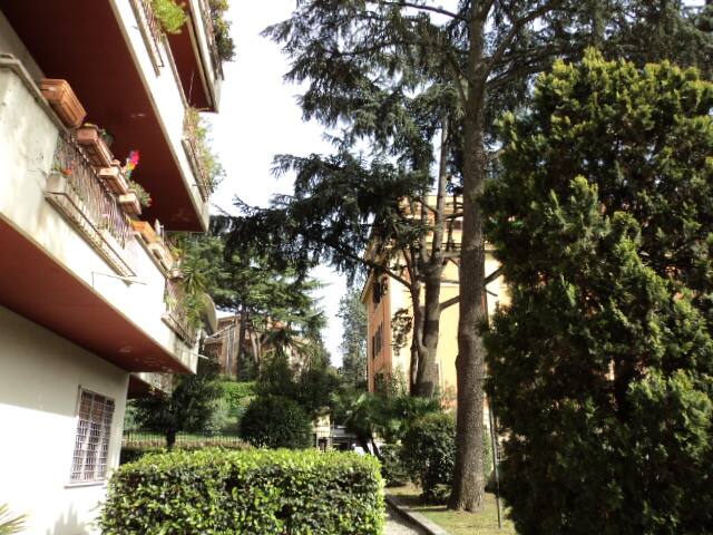 Romaurelia apt, 11 beds gallery image 3