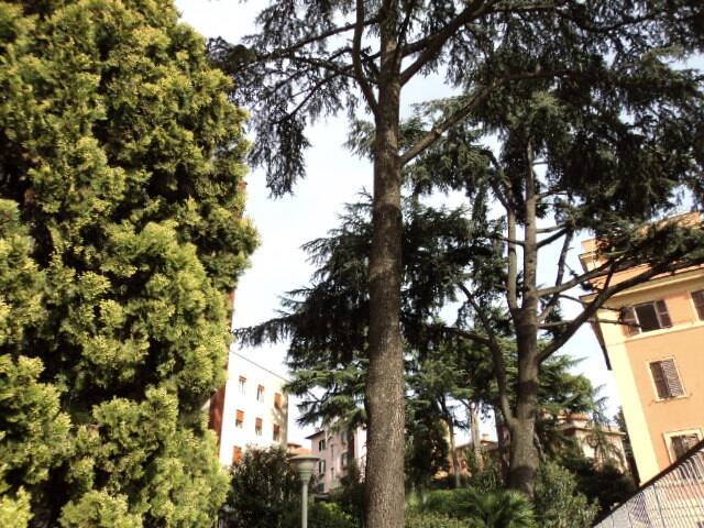 Romaurelia apt, 11 beds gallery image 4