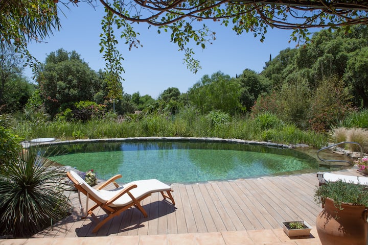 Charming apartment in Cavalière