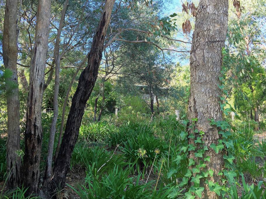 View from driveway of TreeTops