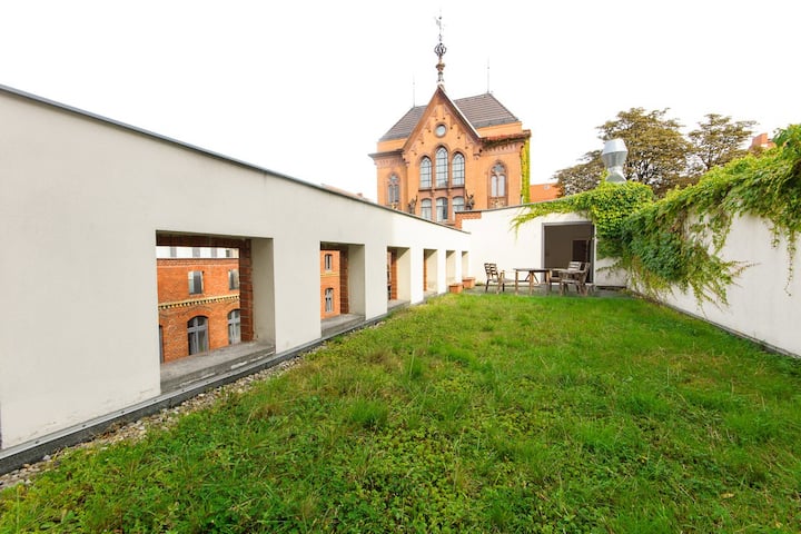 apartment 2_rooftop -downtown -2 rooms-55 sqm+terr