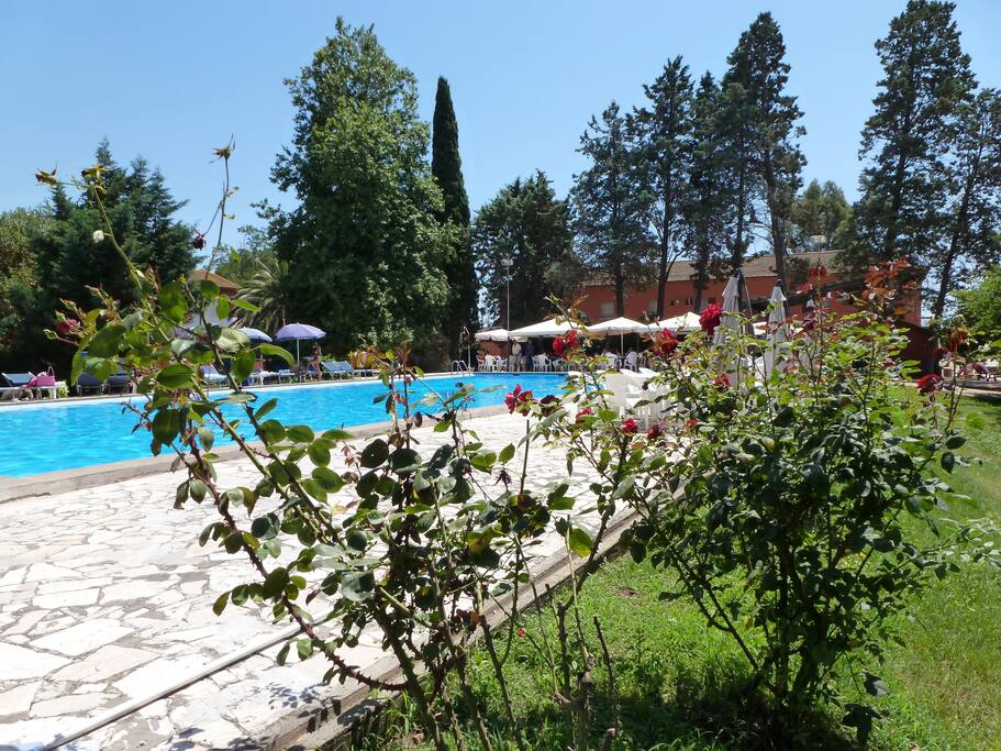 la piscina semiolimpionica