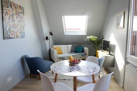Successful Airbnb property: Charming apartment 150m thermal baths/town center in Thonon Les Bains