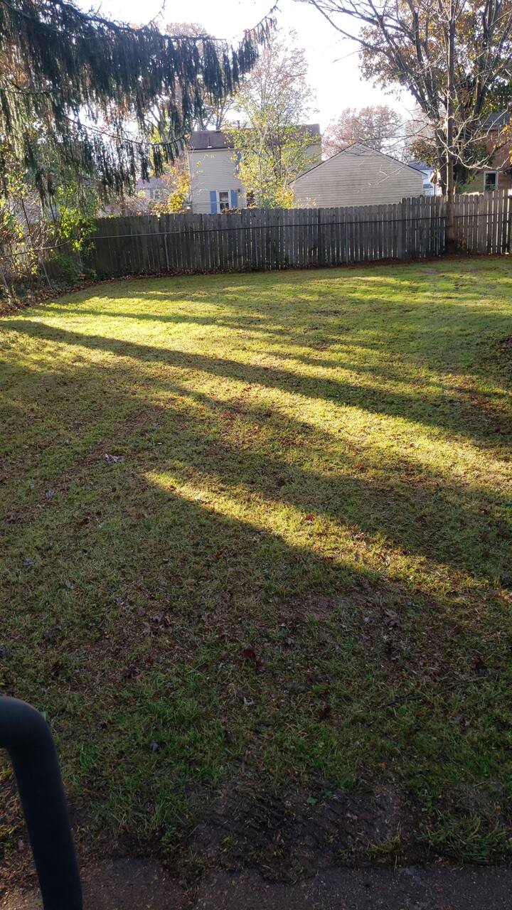 Top 12 Airbnb Vacation Rentals In Youngstown, Ohio Updated 2024 Trip101