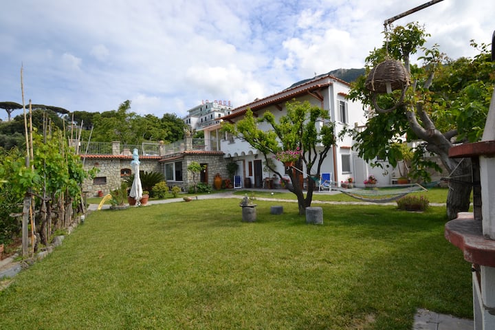 ISCHIA VACATION HOMES