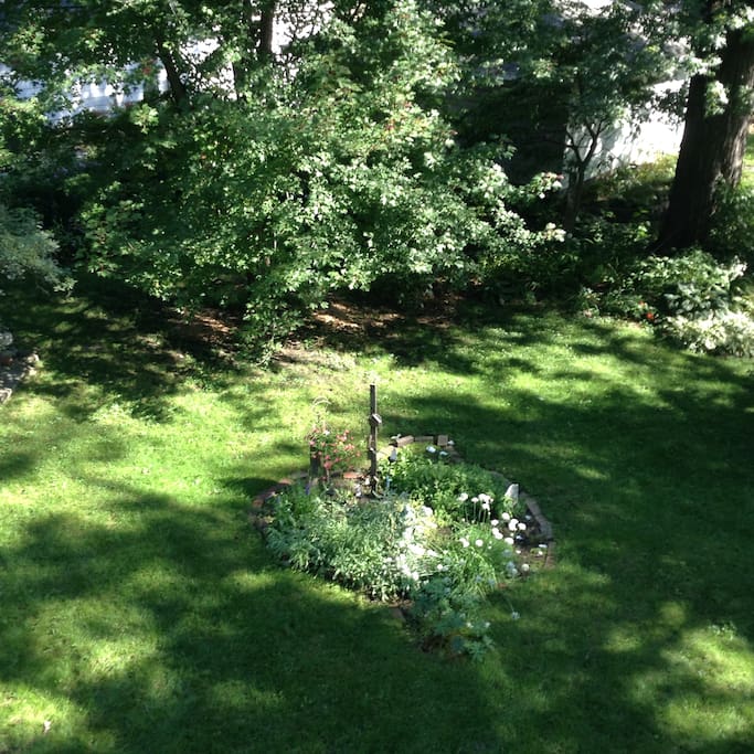 Backyard garden some flowers in bloom