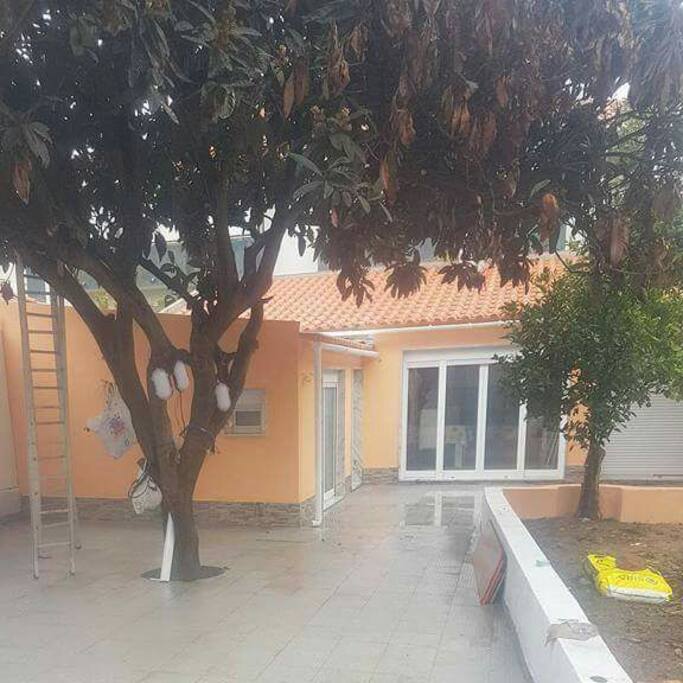 neflier côté parking
terrasse de 30 m2 avec magnifique citronnier devant la grande chambre.
volet roulant électrique et double vitrage sur toutes les porte-fenêtre.
