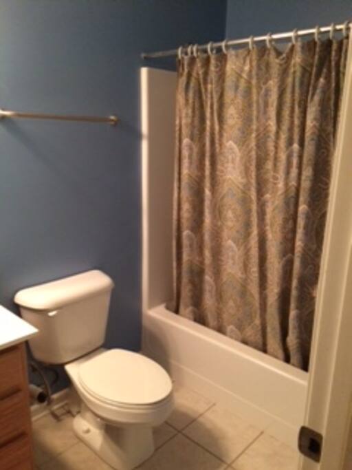 Guest bathroom