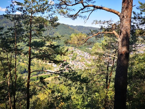 Au im Murgtal - Nord-Schwarzwald