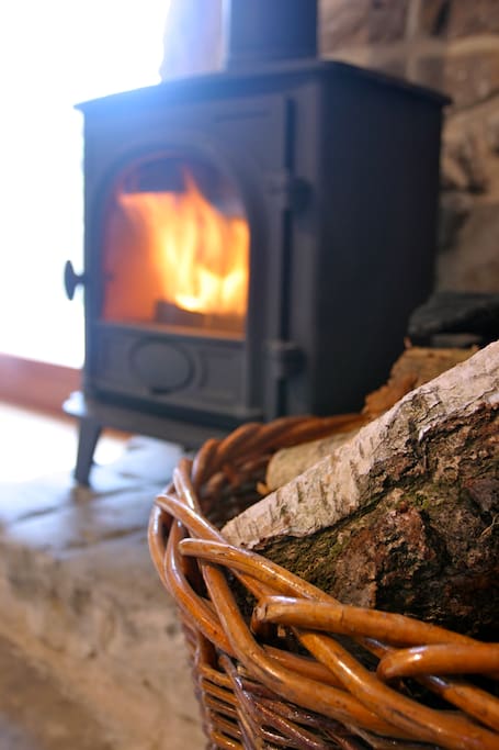 Log burning stove