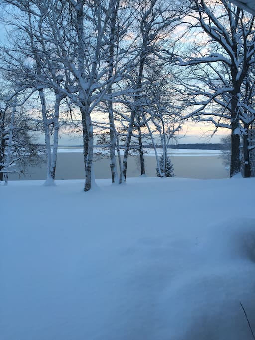 Winter Beauty