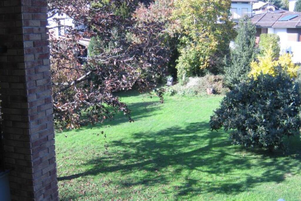 Giardino