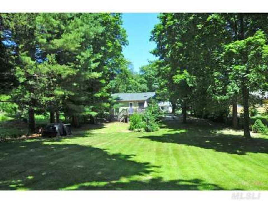 Big beautiful back yard
