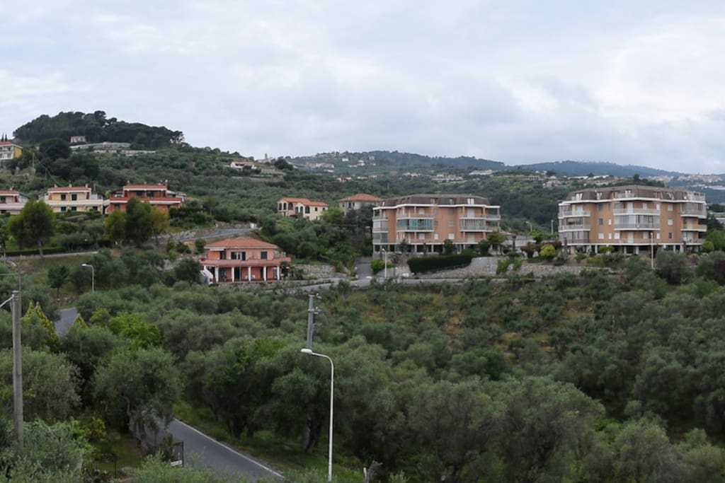 vista