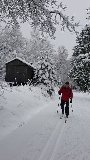 Langlauf zu den Feiertagen