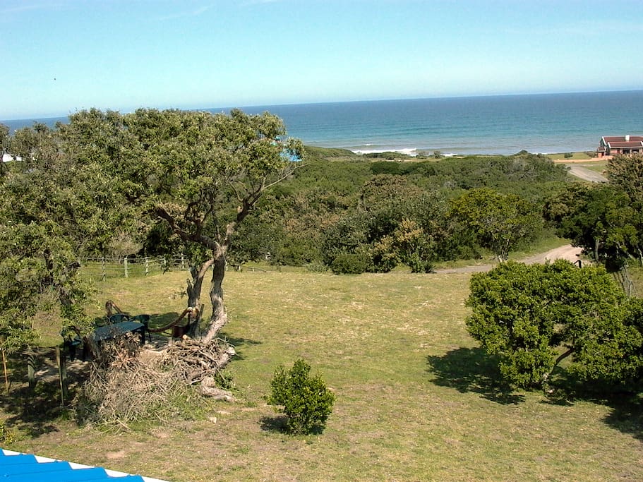 Front garden