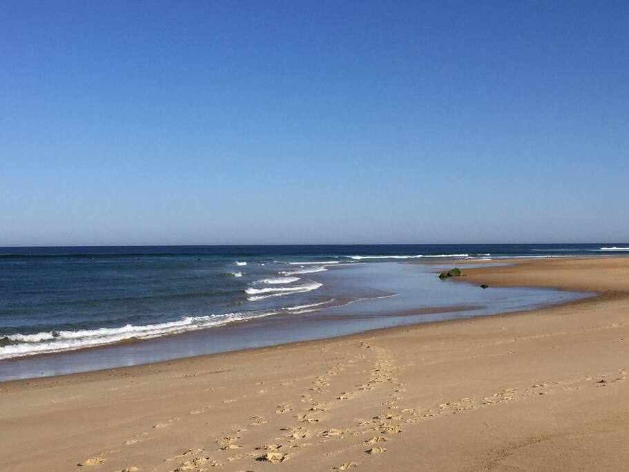 La plage de Seignosse