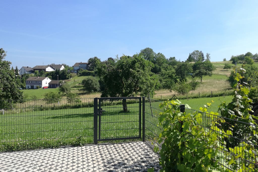 Ausblick