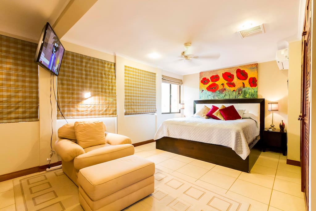 Master bedroom with TV & A/C