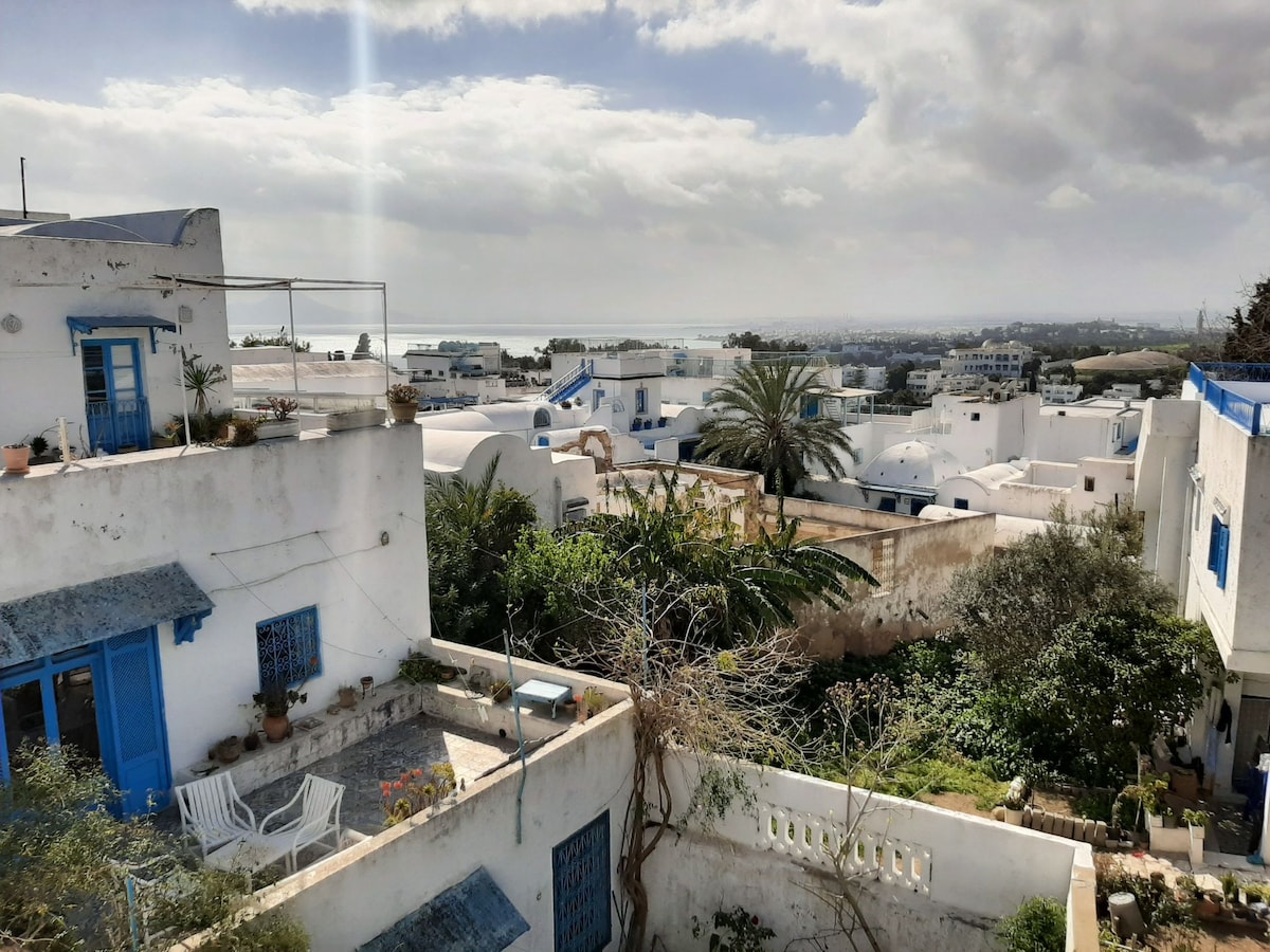 A vibrant view overlooking the village, featuring white buildings with blue accents framed by lush greenery. Palm trees and a garden space are visible, enhancing the scene with natural elements. The distant coastline can be seen under a cloudy sky.