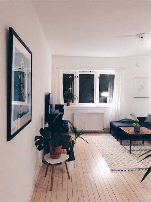Living room.