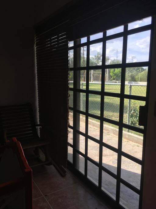 View to backyard