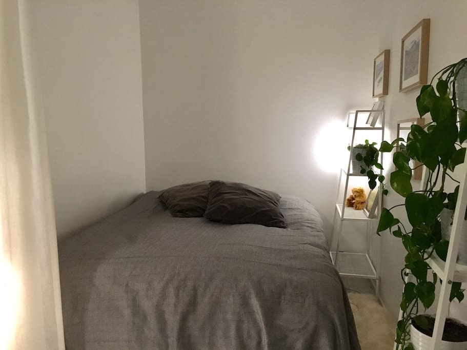Queen size bed for two behind a curtain
