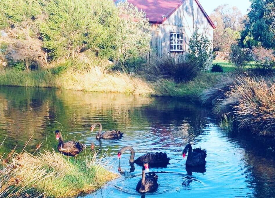 Regular visitors to the dam