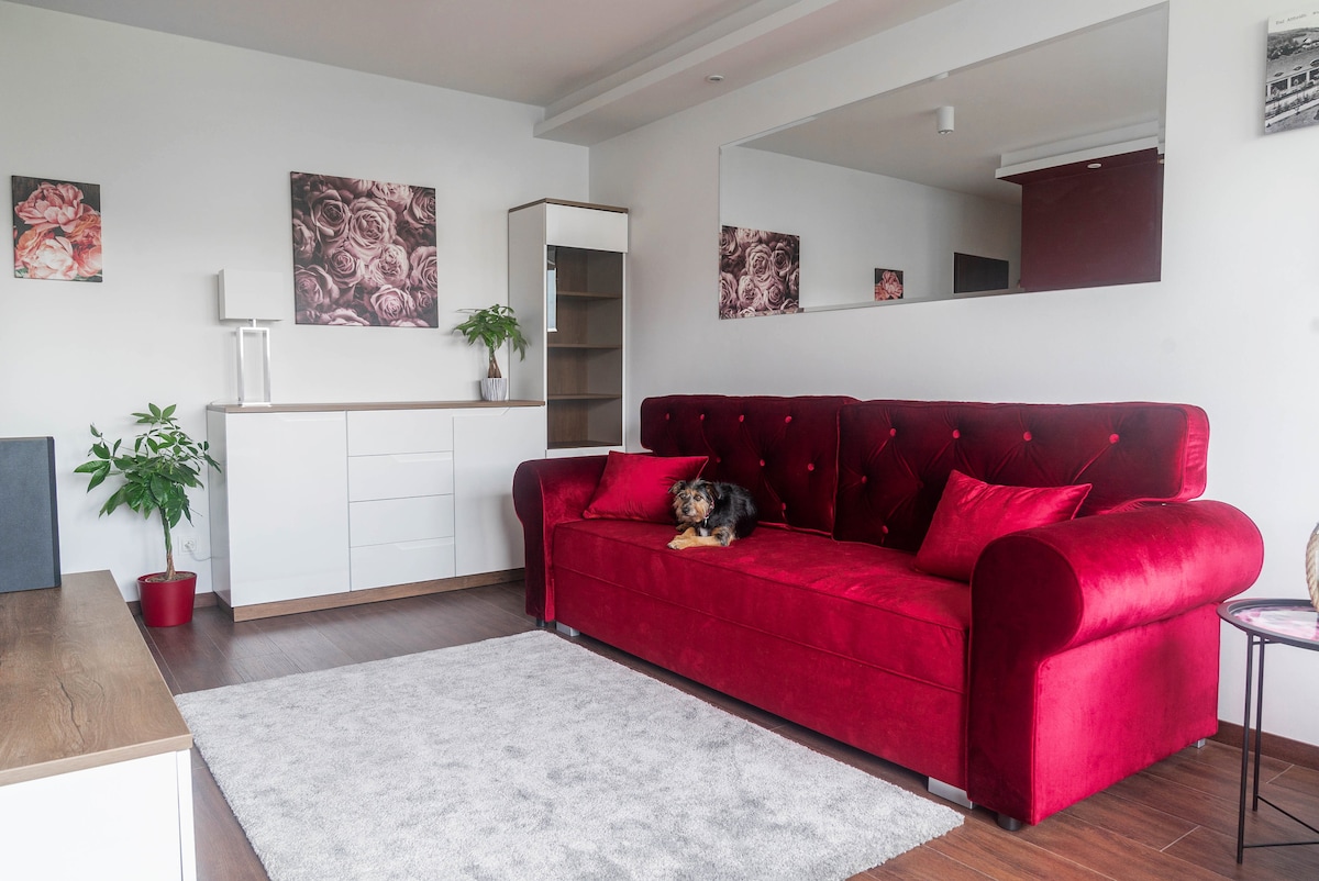 A spacious living area is furnished with a red velvet sofa, complemented by decorative pillows. A white sideboard with open shelving is present, alongside a small green plant. Two floral art pieces adorn the walls, and a soft area rug covers the floor.