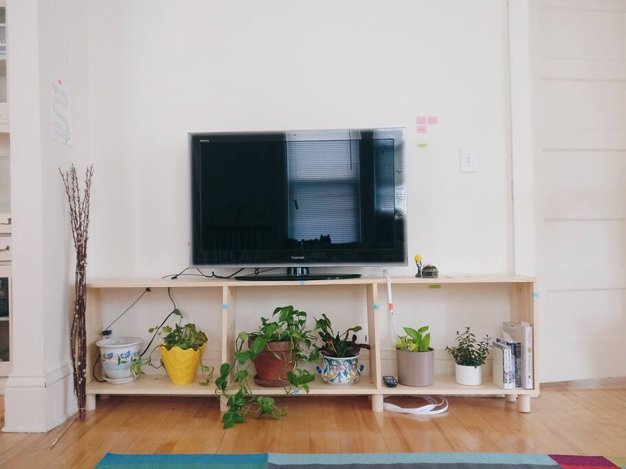 TV