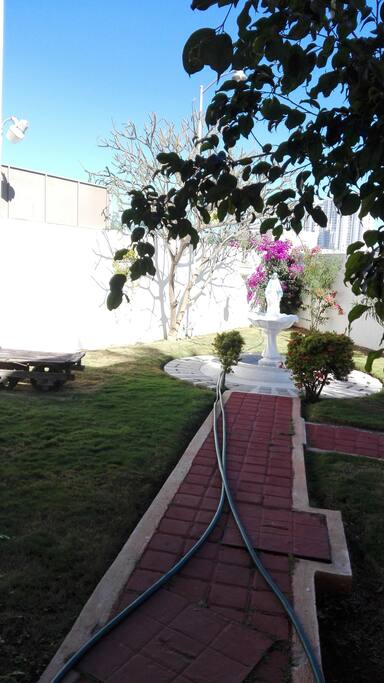 JARDIN TRASERO