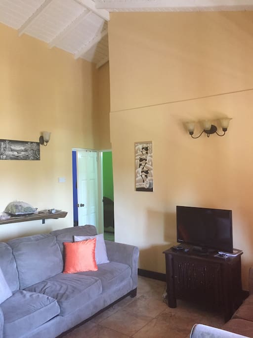 Shared living space complete with Netflix, wifi and vaulted ceilings.