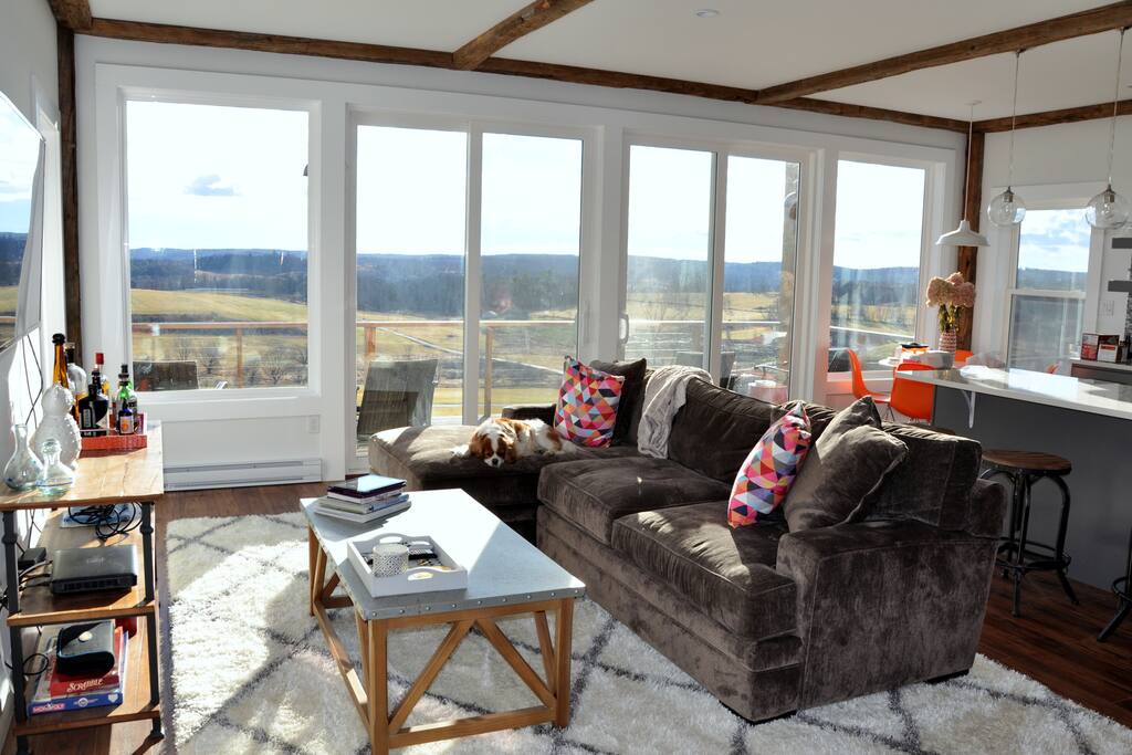 Living Room/Kitchen/Dining Room