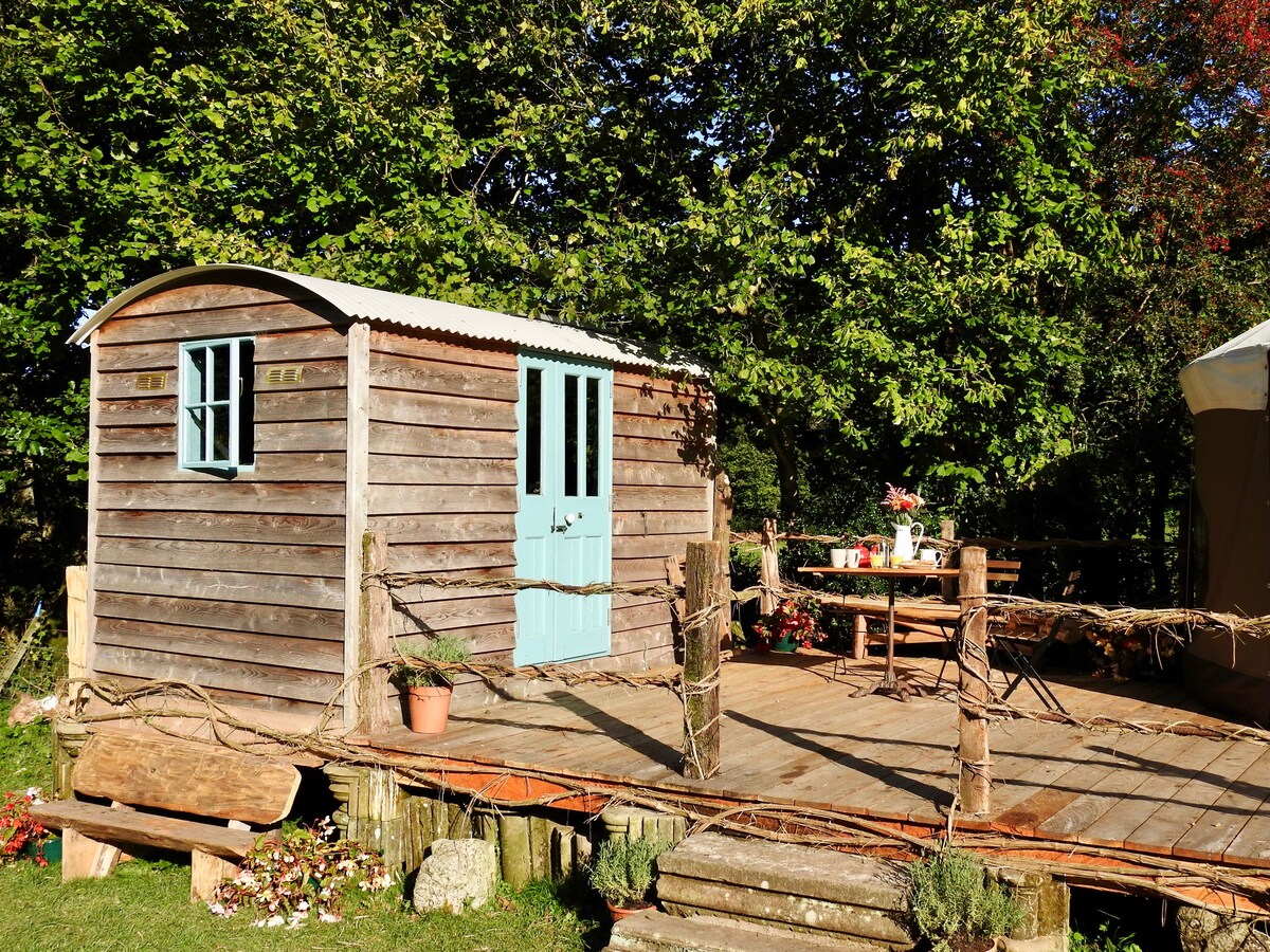 A charming Shepherd's hut stands on a spacious wooden deck surrounded by greenery. A light blue door complements the wooden exterior, while a small table and chairs are positioned nearby, inviting relaxation. Potted plants add a touch of nature to the setting, enhancing its serene atmosphere.