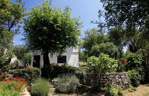 Mediterranean house with a seaview